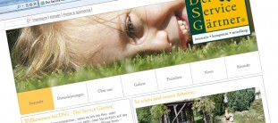 webdesign-referenz-dsg