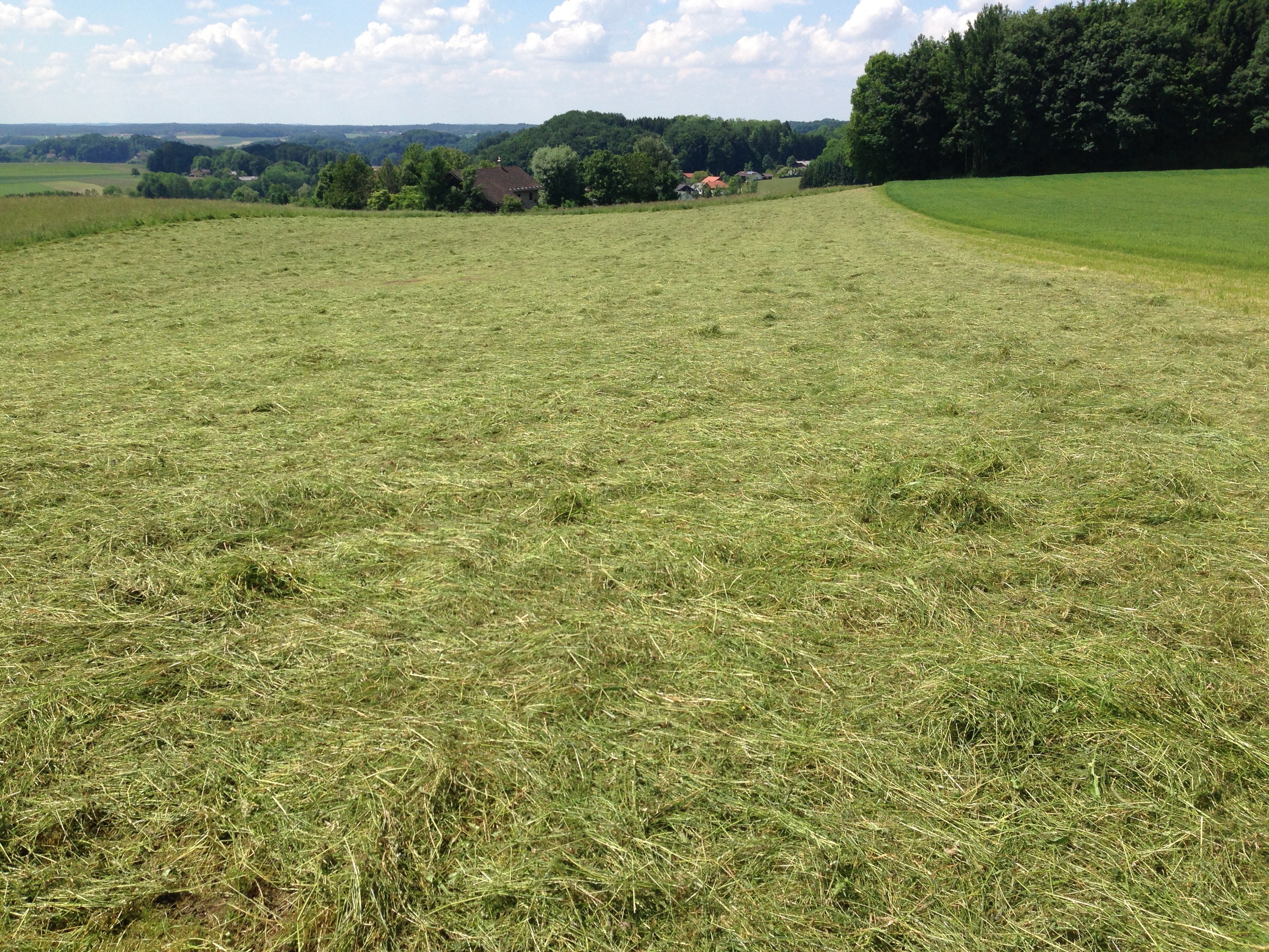 foto-landwirtschaft